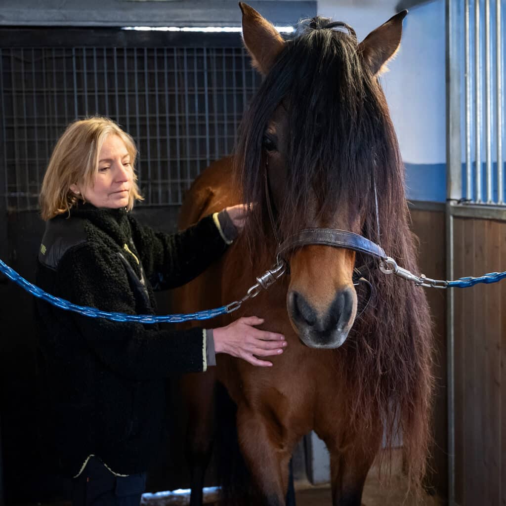 Suzanne rör försiktigt vid en brun häst som är säkrad i ett stall, vilket förmedlar ett ögonblick av anslutning mellan människa och djur, som symboliserar en aktivitet som berikar bandet mellan arter. Kraniosakral terapi och massage